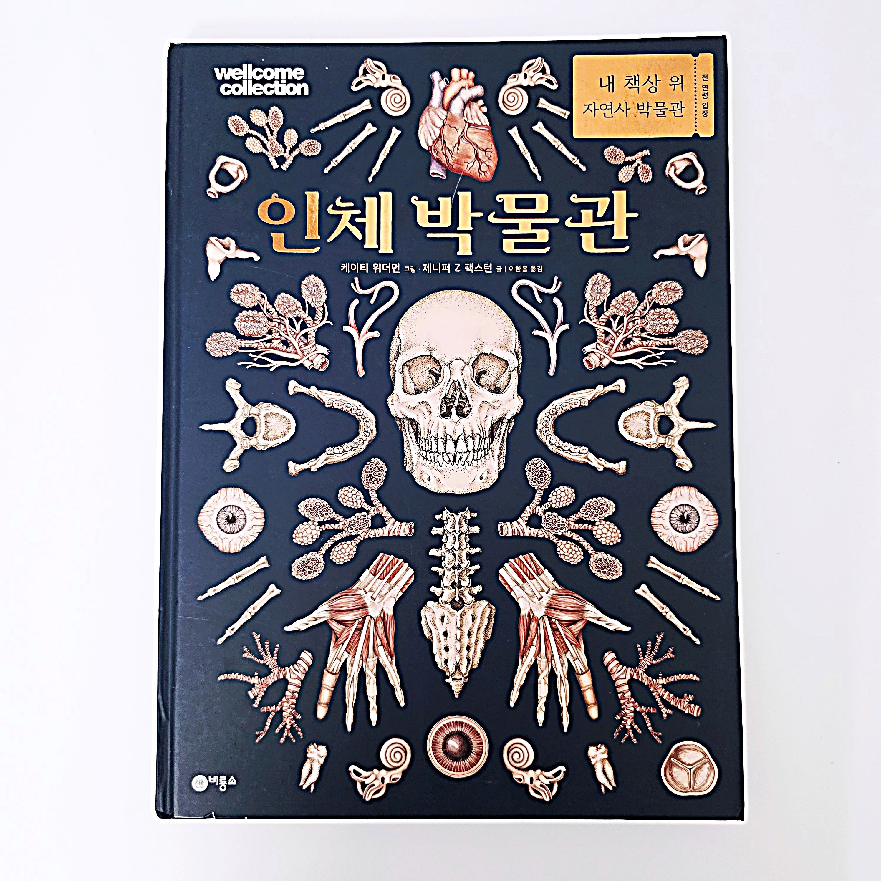 비룡소 인체 박물관 #330