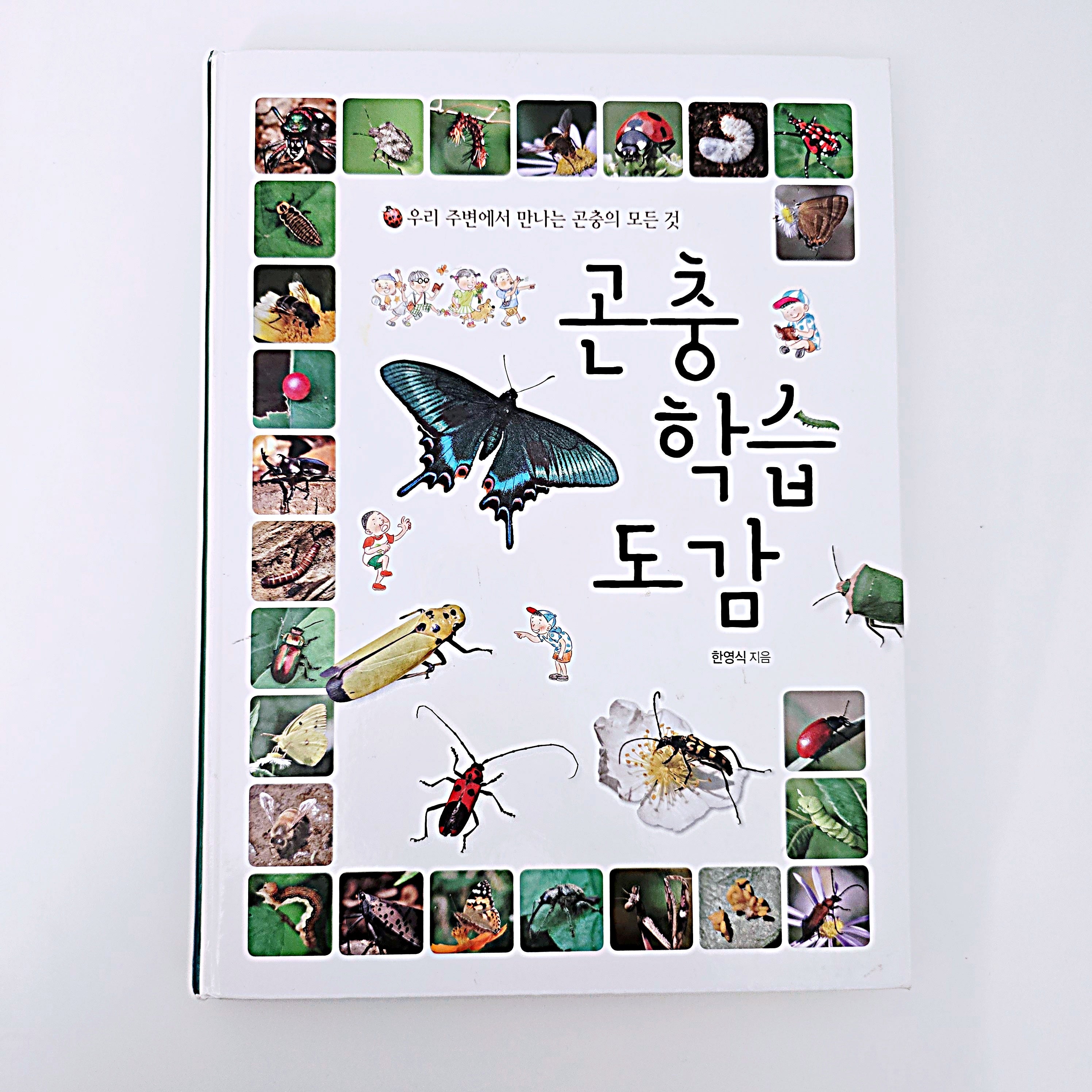 곤충 학습 도감 #376