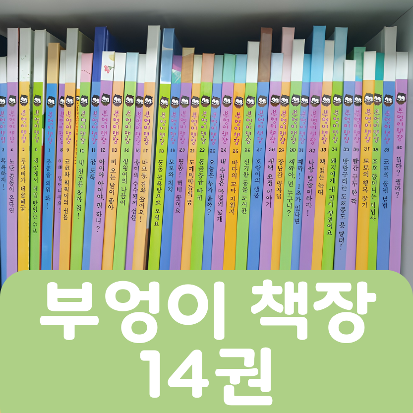[중고책 판매] 부엉이 책장 14권 #457